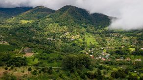 MiAmbiente informa que Panamá ha perdido 352,873 hectáreas de bosque MiAmbiente informa que Panamá ha perdido 352,873 hectáreas de bosque