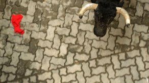 Agente de carreteras no logra acorralar a toro fugado en EEUU