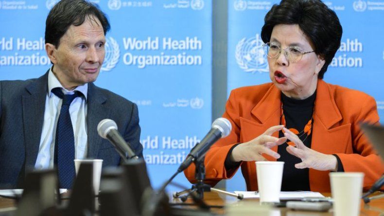 Jefa de la OMS, autoridades y científicos de EEUU viajan a Brasil afectado por el zika