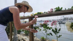 Suben a 34 los muertos por incendio de barco en California