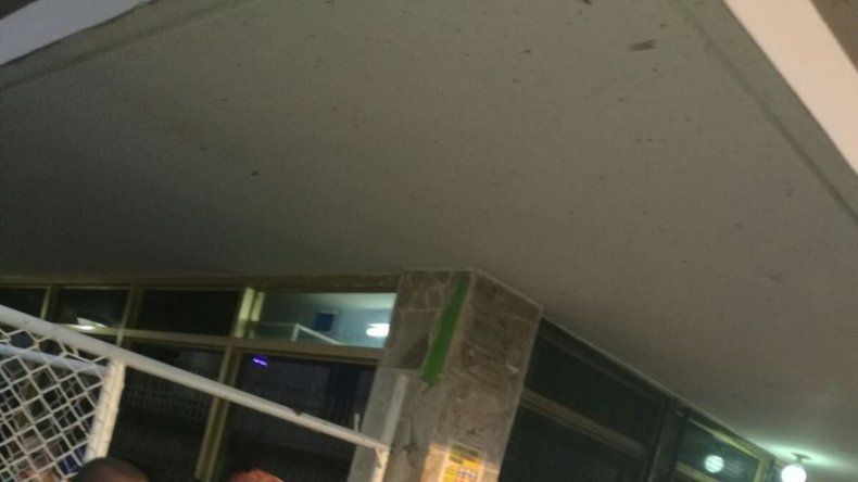 Topón de tres reinas en el Parque Porras