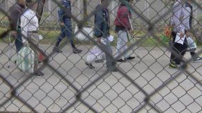 Colombia: liberan 16 guerrilleros FARC indultados en proceso de paz