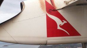 Serpiente pitón viaja en el ala de un avión de Qantas en Australia