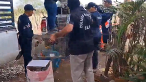 Incautan más de 100 aves en cautiverio destinadas a la venta ilegal en Guararé. Incautan más de 100 aves en cautiverio destinadas a la venta ilegal en Guararé.