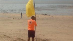 Colocan bandera amarilla en varias playas por fuertes oleajes y presencia de serpientes marinas