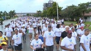 Cientos de personas participaron de la XX versión de la Caminata Familiar Susie Thayer