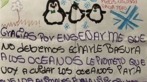 Niños colombianos envían cartas a pingüinos animados por científica