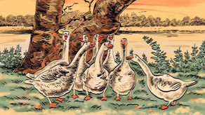 Acertijo visual, ¿Eres capaz de encontrar el zorro oculto?