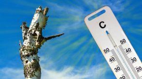 Jóvenes activistas preparan la protesta contra cambio climático de Nueva York