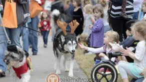 Desfile Reindog en Atlanta EE.UU