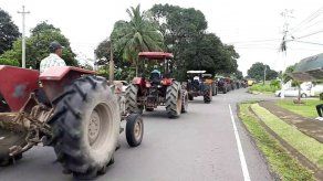 Productores exigen pago de compensación por arroz cosechado