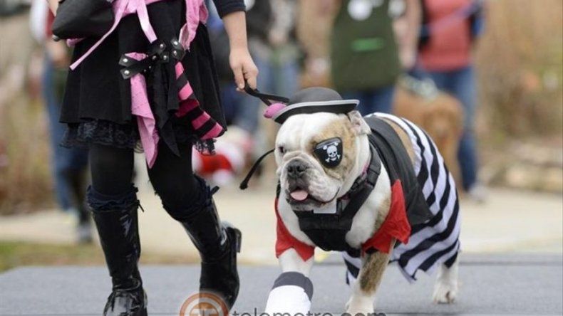 Desfile Reindog en Atlanta EE.UU