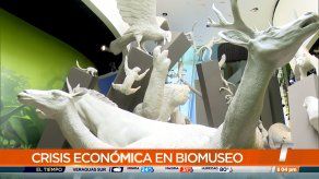 Crisis económica en el Biomuseo
