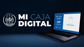 CSS, Mi Caja Digital