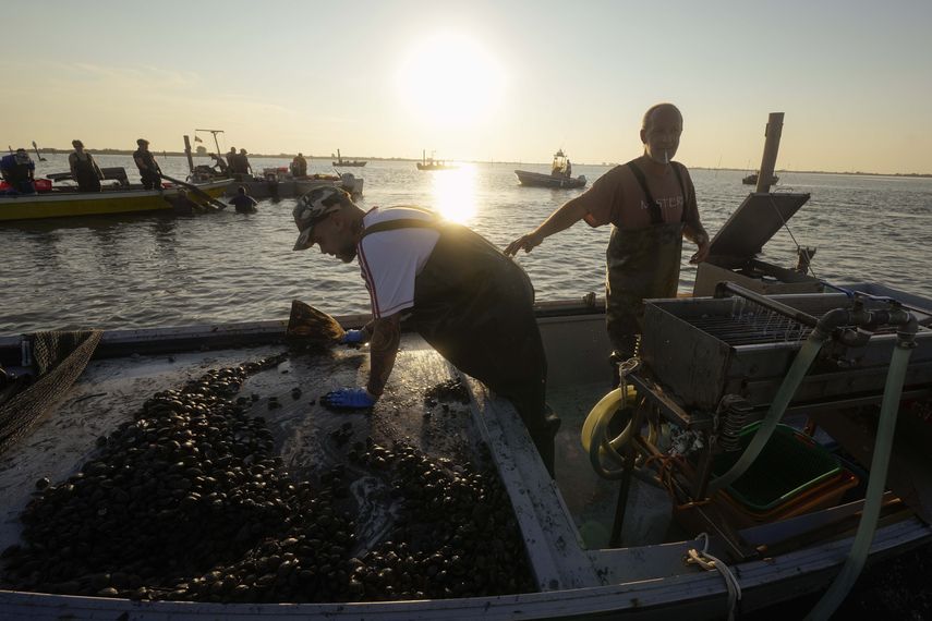 La cantidad de agua que fluye al delta desde el Po es más baja que nunca
