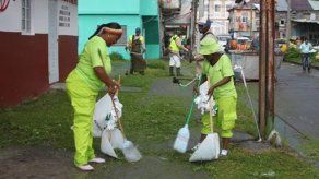 Buenas noticias para recolectores y hormiguitas