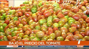 Baja considerablemente el precio del tomate en Merca Panamá