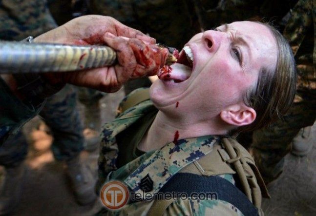 Entrenamiento de supervivencia del ejército de EEUU