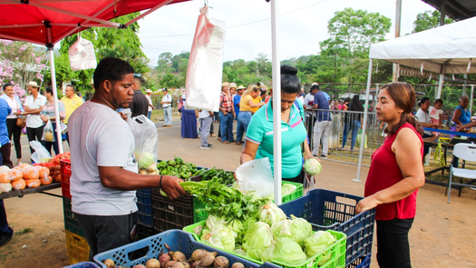 Agroferias del IMA en Panamá. Agroferias del IMA en Panamá.