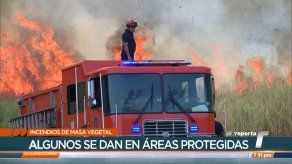 Advierten sobre los peligros de la quema de masa vegetal