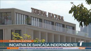 Bancada independiente busca eliminar fuero penal electoral