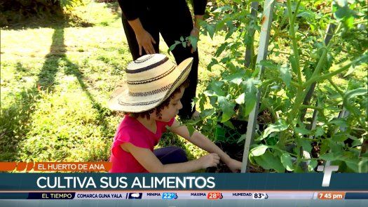 TR Verde: El huerto de Ana