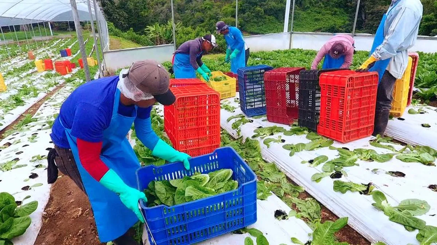 Ley de política Agroalimentaria: ¿Qué es y a quiénes beneficia? 