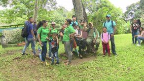 Celebran el noveno cumpleaños del águila harpía Panamá