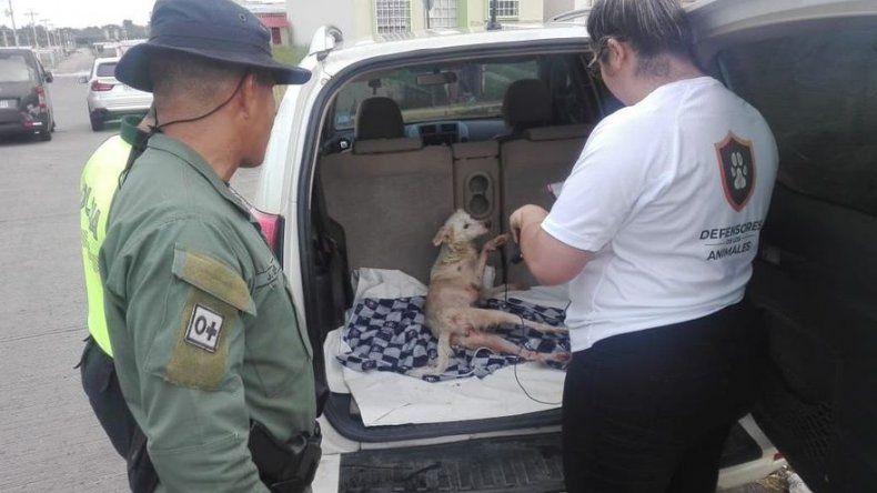 Tomada de @judyMEANA