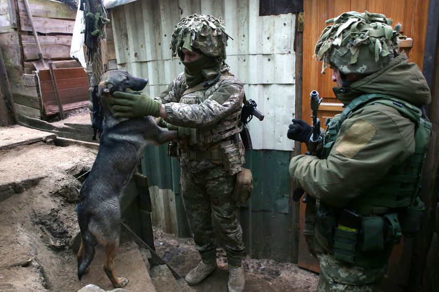 Gatos y Perros levantan la moral a los soldados en el frente de Ucrania