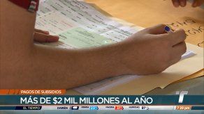 Recomiendan al Gobierno revisión de los subsidios