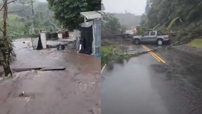 Se registran inundaciones y caídas de árboles en el distrito de Boquete.