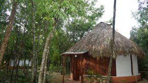 México cierra el año con la aprobación de una ambigua ley de biodiversidad