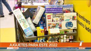 Especialistas revelan cuáles son los juguetes sugeridos para esta Navidad