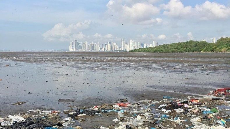 Realizarán jornada de limpieza en el Malecón de Costa del Este a finales de julio