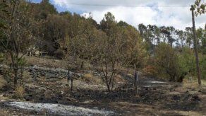 Incendios forestales causan evacuación de más de 2.200 viviendas en EEUU