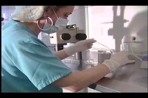Técnica permite concebir hijos sin predisposición a sufrir cáncer