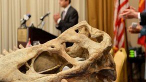 EEUU devuelve a Mongolia esqueleto de tiranosaurio importado ilegalmente