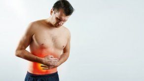 Bacterias en la flora intestinal protegen contra la obesidad