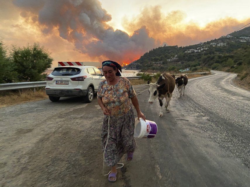Hay incendios en seis lugares en Mugla