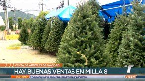 Inicia la venta de arbolitos de Navidad naturales