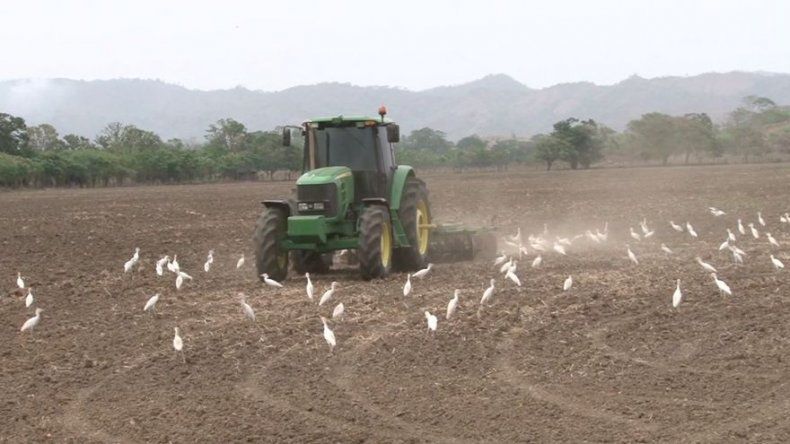 Esperan audiencia preliminar sobre riego de Tonosí para enero