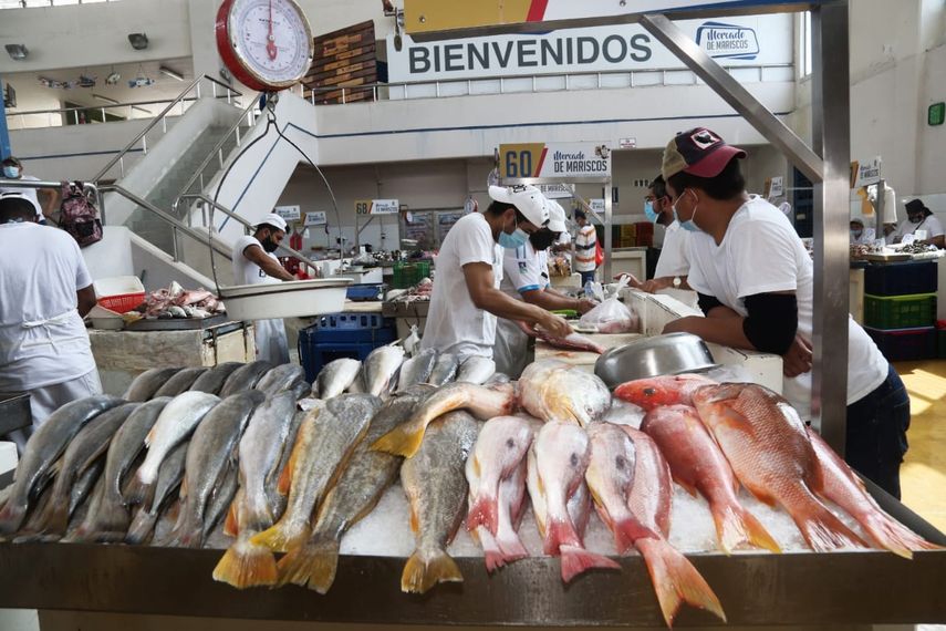 La Alcaldía de Panamá continúa programa de capacitación para manipuladores en el Mercado de Mariscos.
