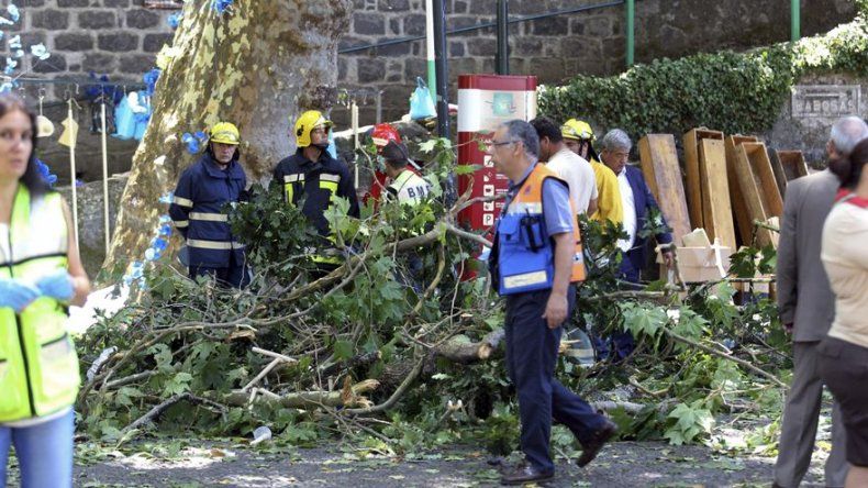Doce muertos y 50 heridos tras caer un árbol durante una procesión en Madeira