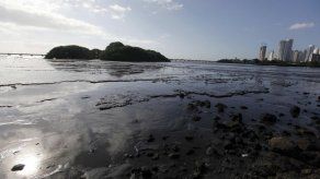 La presión humana y el clima devastan el manglar de la Bahía de Panamá