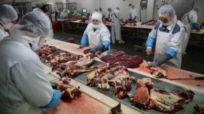Los platos preparados en Francia detallarán la composición de la carne