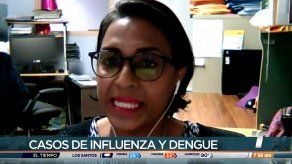 Jefa de epidemiología del Minsa informa estrategias ante aumento de casos de dengue