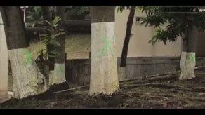 Tregua por construcción de estacionamientos en Ancón terminó