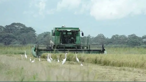 Asociación Nacional de Molineros desea que se cumpla con las demandas actuales.