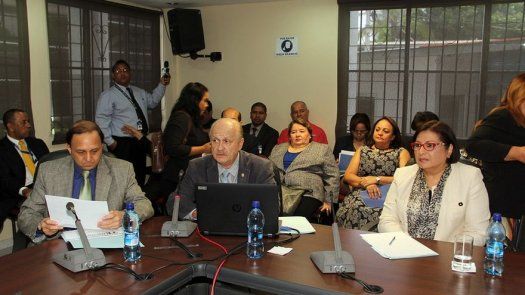 Pinilla rechaza críticas en su contra por actuación en elecciones de 2014